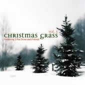 Christmas Grass 3